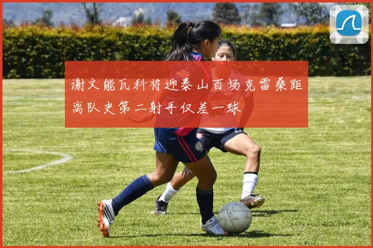 谢文能瓦科将迎泰山百场克雷桑距离队史第二射手仅差一球